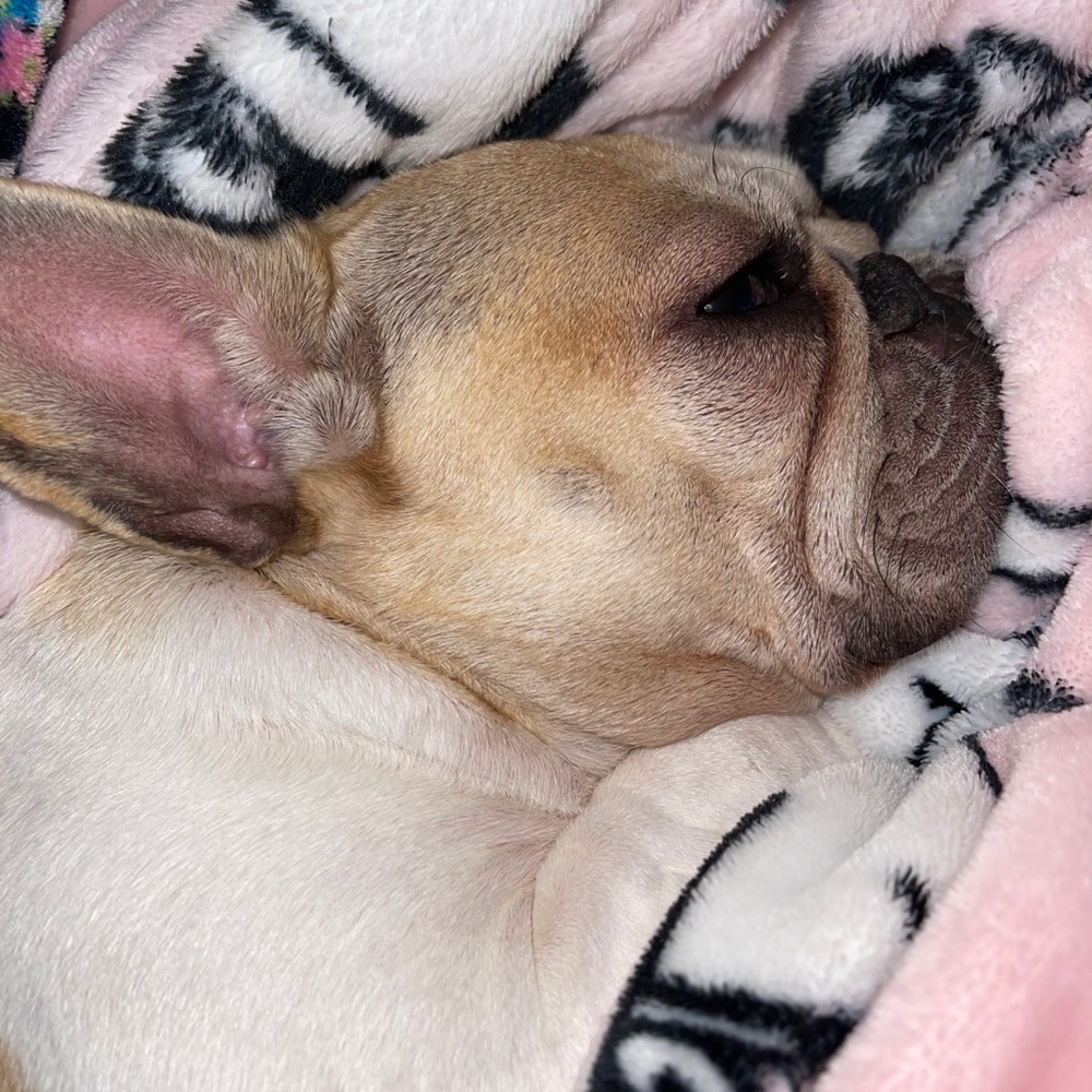 Meet your Posher, Jodee